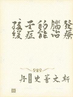 孩子的脑发育迟缓症能治疗吗