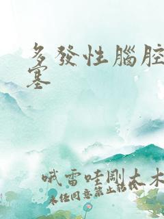 多发性脑腔隙梗塞