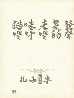 猫咪老是发出呼噜呼噜的声音是怎么回事