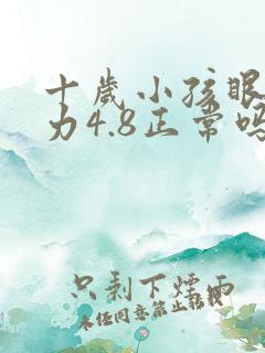 十岁小孩眼睛视力4.8正常吗