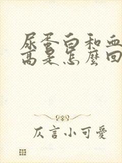 尿蛋白和血蛋白高是怎么回事