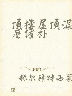 顶楼屋顶漏水怎么修补