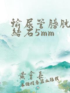 输尿管膀胱壁段结石5mm