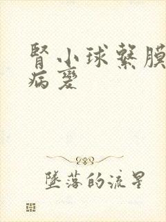 肾小球系膜增生病变