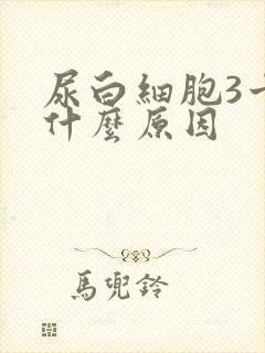 尿白细胞3十是什么原因