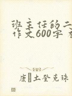 班主任的二三事作文600字 初中作文
