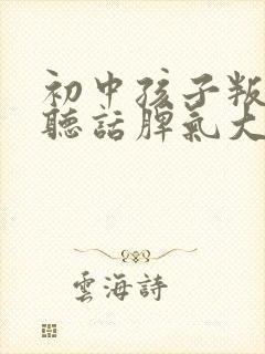 初中孩子叛逆不听话脾气大怎么办