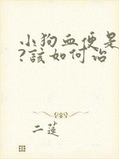 小狗血便是啥病?该如何治