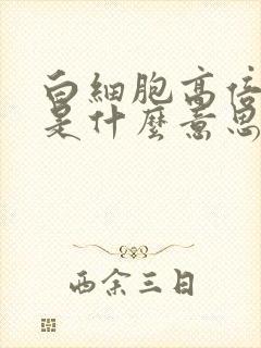 白细胞高倍视野是什么意思