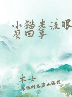 小猫光流眼泪怎么回事