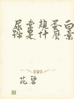 尿常规蛋白质加号是什么意思