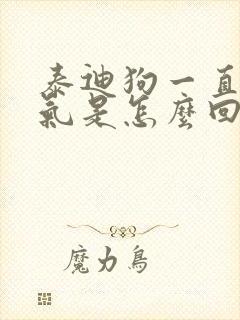 泰迪狗一直大喘气是怎么回事