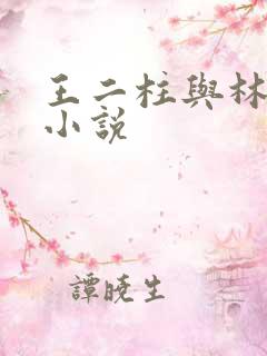 王二柱与林芳的小说