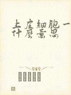 上皮细胞一加是什么意思