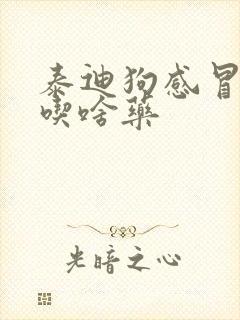 泰迪狗感冒发烧吃啥药