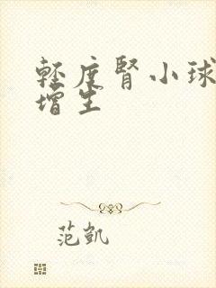 轻度肾小球系膜增生