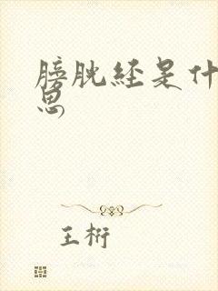 膀胱经是什么意思