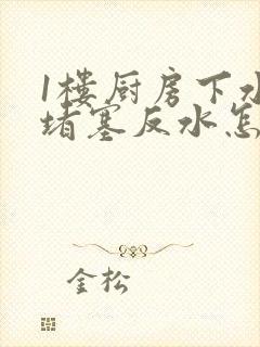 1楼厨房下水道堵塞反水怎么解决