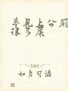 梦见上公厕很脏很多屎