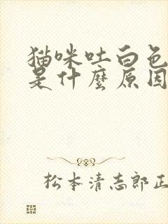 猫咪吐白色液体是什么原因