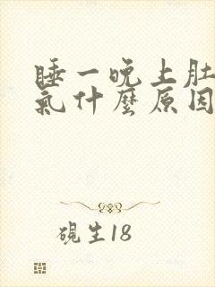 睡一晚上肚子胀气什么原因