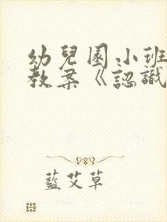 幼儿园小班健康教案《认识五官》