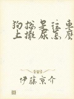 狗总是往车轮胎上撒尿怎么办