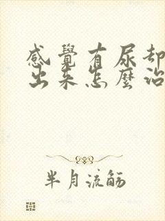 感觉有尿却尿不出来怎么治疗