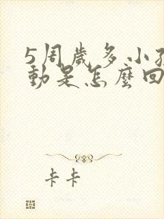 5周岁多小孩好动是怎么回事