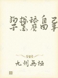 狗总舔自己的爪子怎么回事