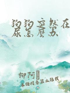 狗狗突然在家乱尿怎么办