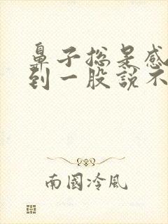 鼻子总是感觉闻到一股说不出的味道