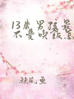 13岁男孩最近不爱吃饭怎么办