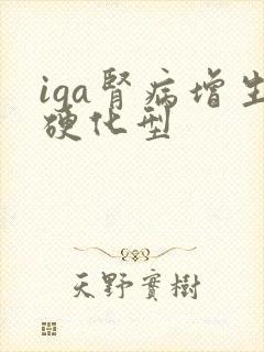 iga肾病增生硬化型