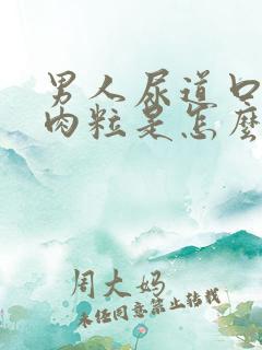 男人尿道口外起肉粒是怎么回事