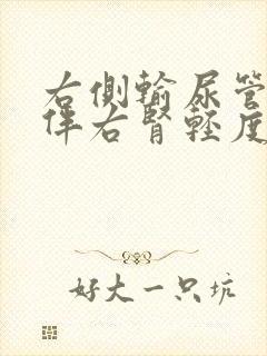 右侧输尿管结石伴右肾轻度积水怎么办