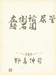 左侧输尿管下段结石图