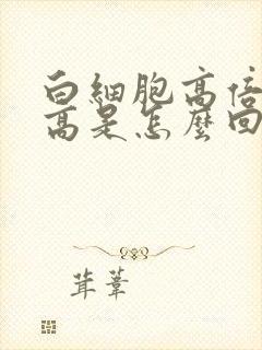 白细胞高倍视野高是怎么回事