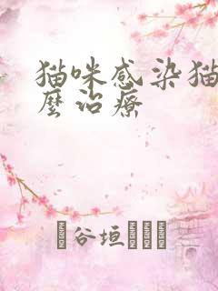 猫咪感染猫瘟怎么治疗