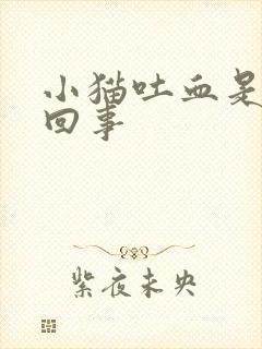 小猫吐血是怎么回事