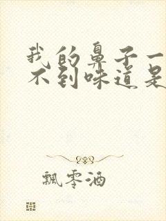 我的鼻子一直闻不到味道是怎么回事