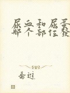 尿血和尿蛋白是哪个部位发生了病变