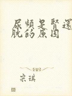 尿频是肾还是膀胱的原因