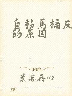 自动马桶反臭味的原因