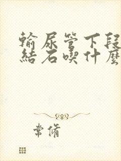 输尿管下段出现结石吃什么药