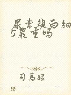 尿常规白细胞35严重吗