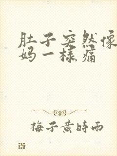 肚子突然像来姨妈一样痛