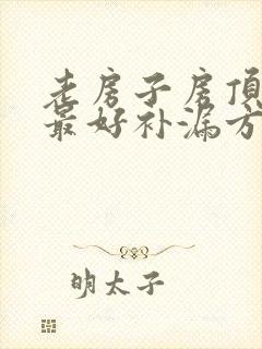 老房子房顶漏水最好补漏方法