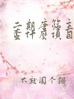 二期唐筛主要检查什么项目