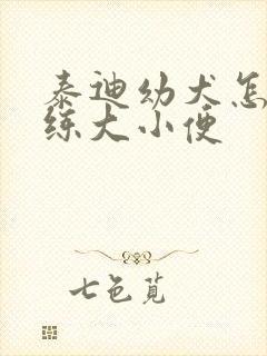 泰迪幼犬怎么训练大小便